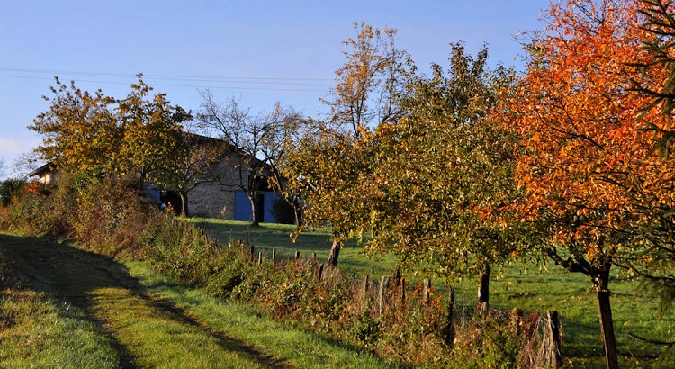 Terres de la Grange, une chambre d’hôtes de charme en pleine campagne Bressane