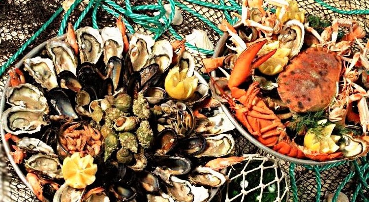 La gastronomie du Finistère, vivante et fraiche comme un plateau de fruits de mer