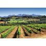 cava penedes