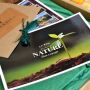 Vegetarian Gift Hamper with Red Wine: the Nature Box II 
