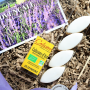 Coffret Cadeau gourmand La Gourmet Box Provence
