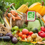 The ORGANIC gourmet gift basket BIO BOX