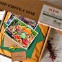 Bio-Gourmetpaket aus französischen Regionen (mit Weißwein)