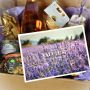 Provencal gourmet box from Vaucluse