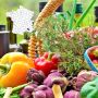 Provencal gourmet box from Vaucluse