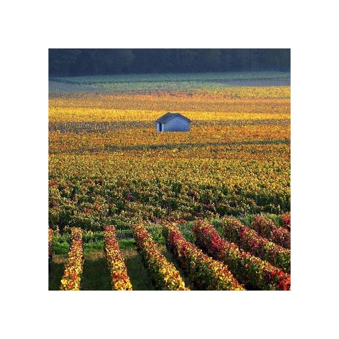 La Gourmet Box Côte d'Or