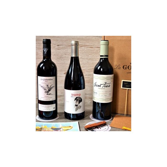 Coffret Vin Espagnol (3 Grands Vins Espagnols)