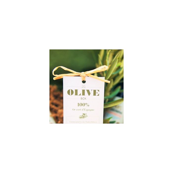 Präsentkorb mit Natives Bio-Olivenöl extra vergin  