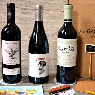 coffret vins espagnols