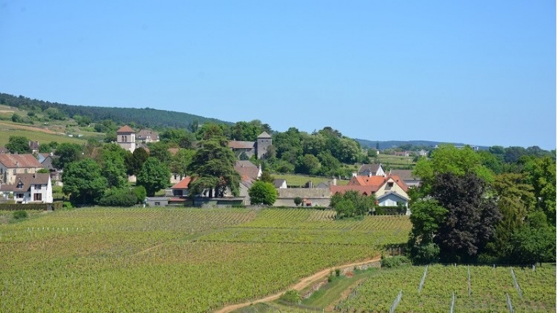 Cèdre et Charme, une chambre d’hôtes familiale en plein cœur du Val de Loire