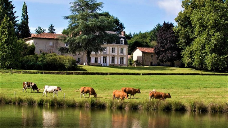 Le Masbareau, une maison et table d'hôtes de Charme au coeur du Limousin