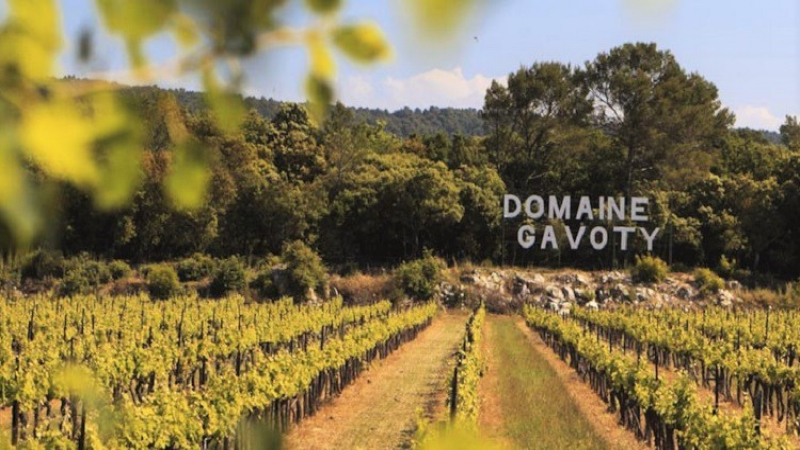 El Domaine Gavoty, un pequeño paraíso en el corazón de unos viñedos de la Provenza