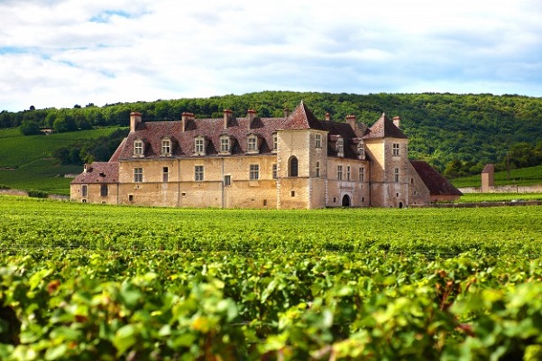 chateau-yquem-sauternes