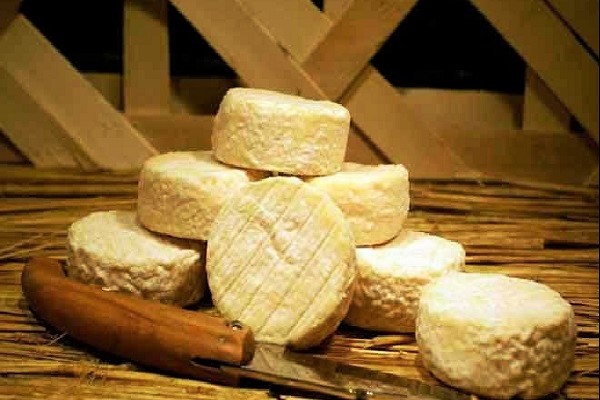 Pélardon Cévennes La Gourmet Box Gard Pélardon Cévennes La Gourmet Box Gard