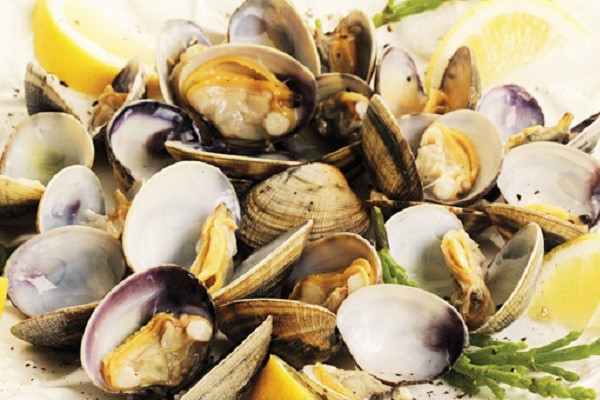 Fruits de mer fruits de mer