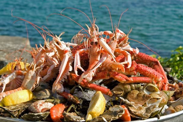 cesta gourmet del mar aperitivo