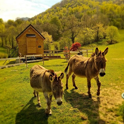 Chambre-d-hotes-charme-pyrenees