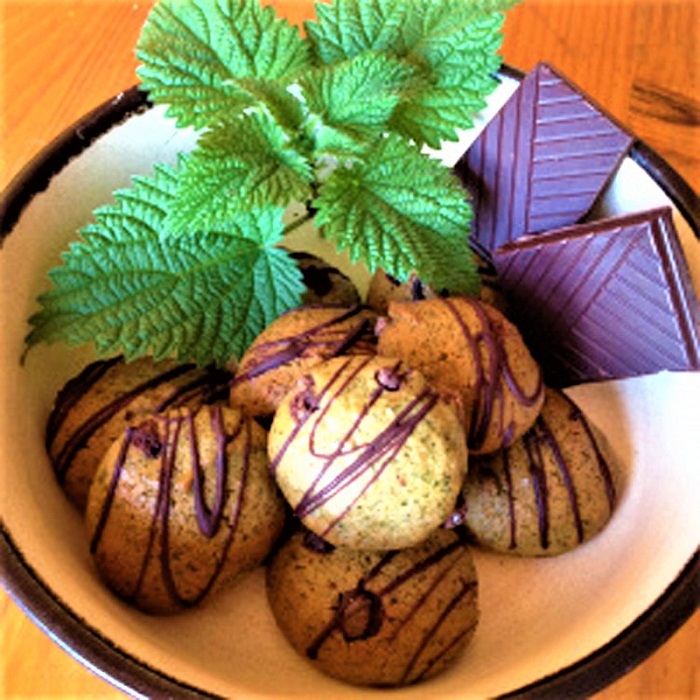 biscuits-bio-ortie