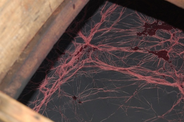 Processus de formation de la mère du vinaigre de vin formation-mere-vinaigre-vin-orleans