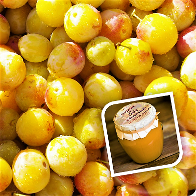 confiture-artisanale-mirabelles-lorraine