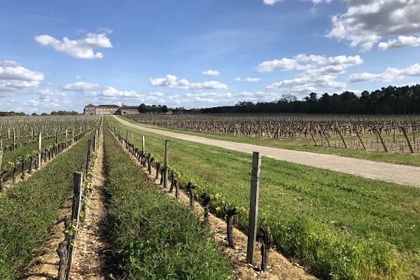 vins-graves-terroir-chateau-crabitey