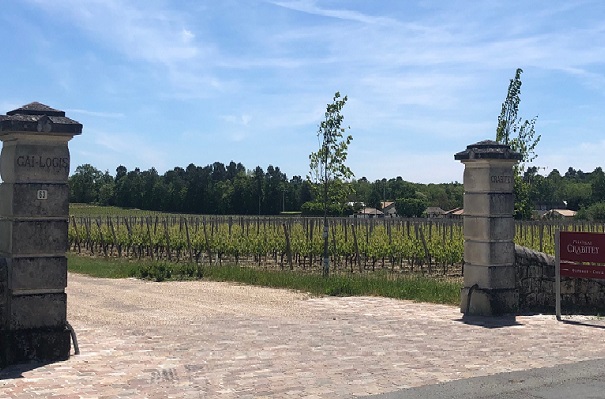 vins-graves-chateau-crabitey