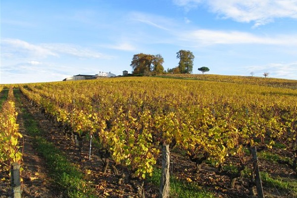 chateau-lamothe-guignard-sauternes-2007