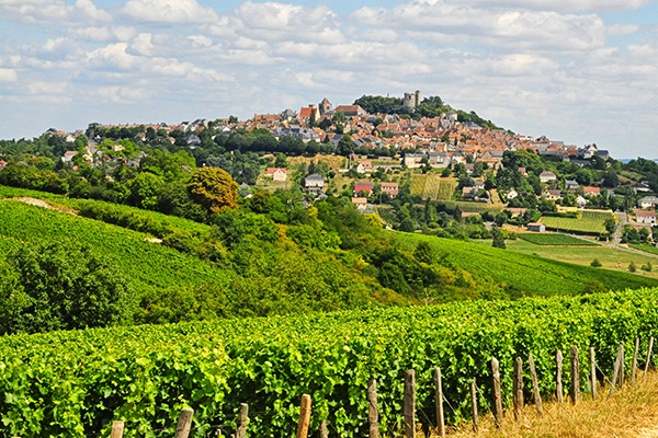 Sancerre blanco cuvee les Monts Damnés Bailly Reverdy caja regalo vinos franceses 