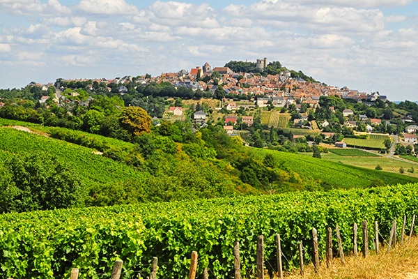 Sancerre Blanc cuvee les Monts Damnés Bailly Reverdy coffret cadeau vin 