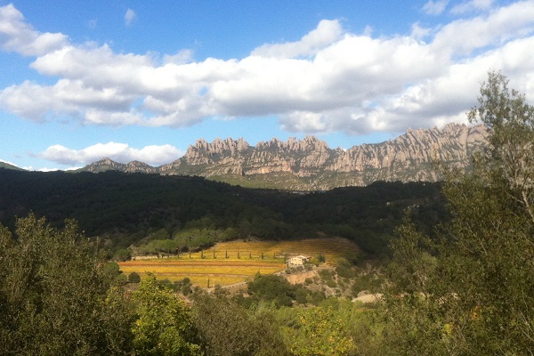 Montserrat vino Can Grau Vell 