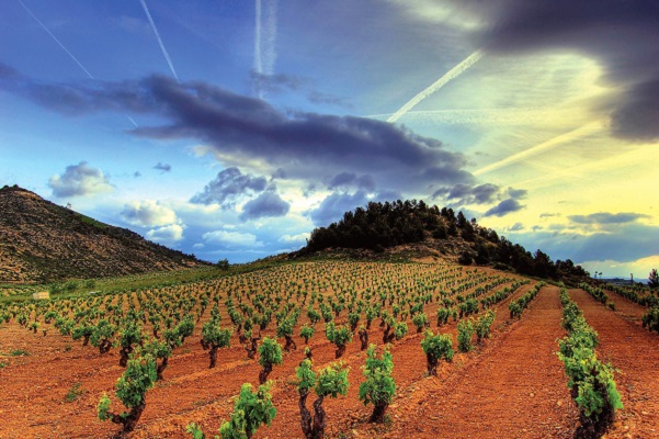 DOC Rioja vino Tempranillo