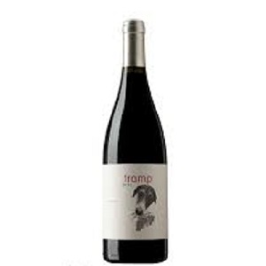 vin Tramp 2014 Can Grau Vell coffret cadeau vin espagnol